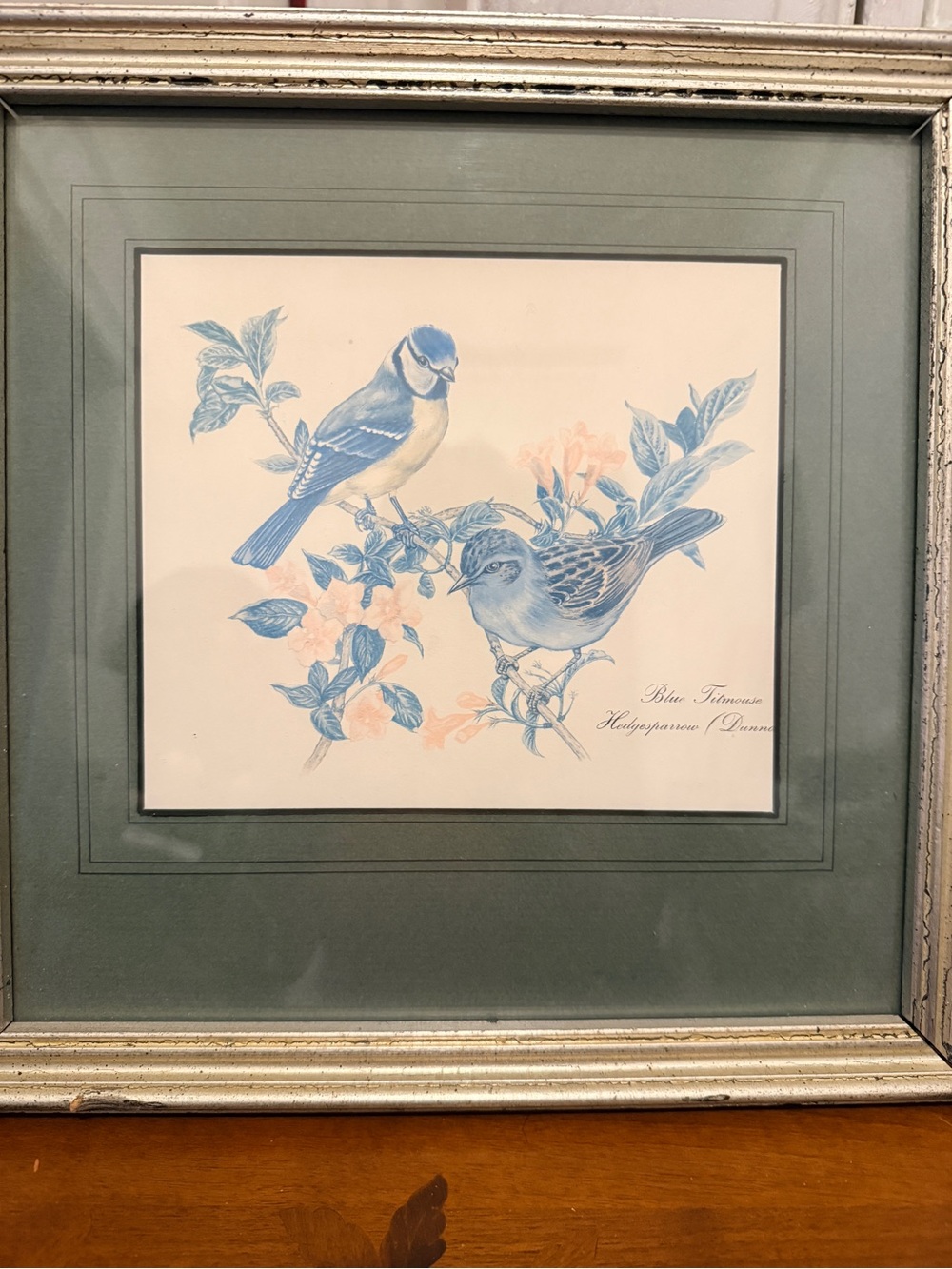 Vintage 1972 Garden Birds Blue Titmouse Dunnock Framed Print